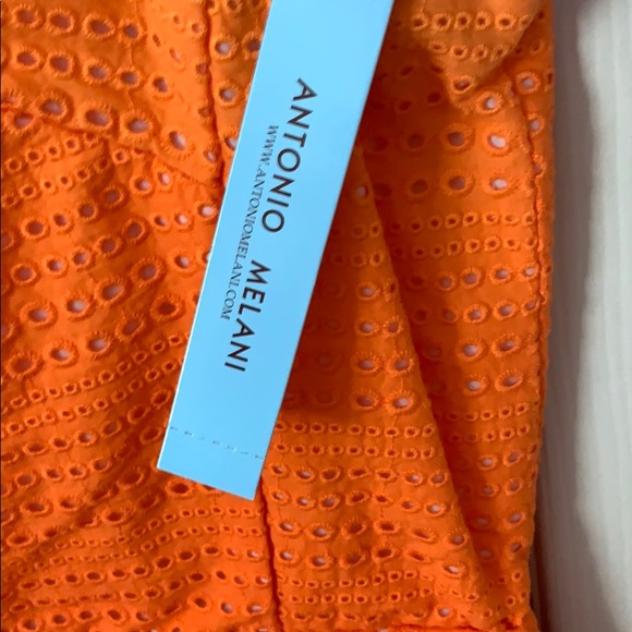 Antonio Melani Dress - Picture 7 of 7